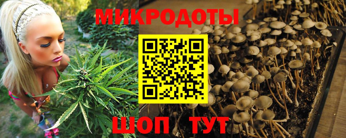 Саранск  Галлюциногенные грибы мухоморы  Вход с VPN  Псилоцибиновые грибы прущие грибы 