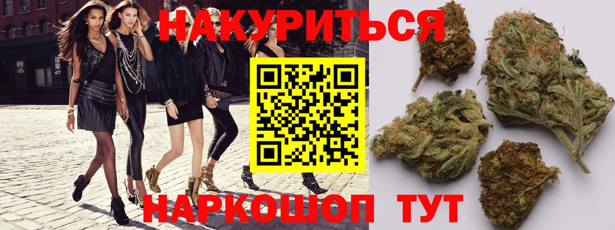 Бошки Шишки семена  Каннабис план  Саранск  Вход с VPN  Шишки марихуана OG Kush  Канабис AK-47 